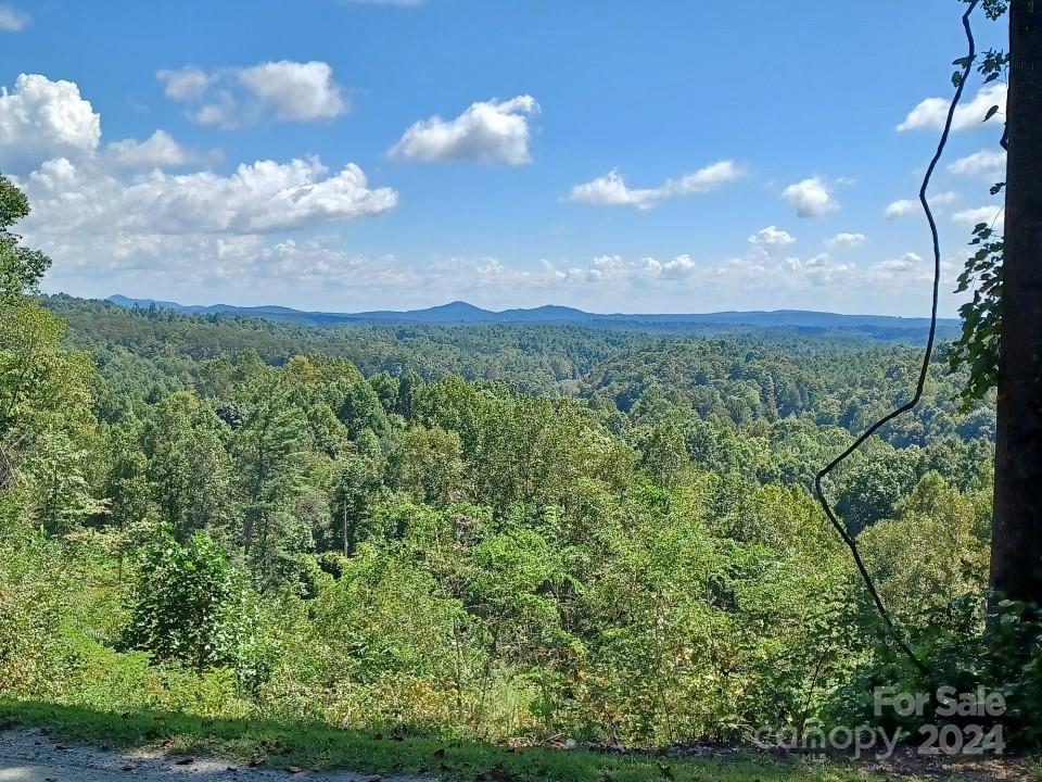 a view of a city with lush green forest