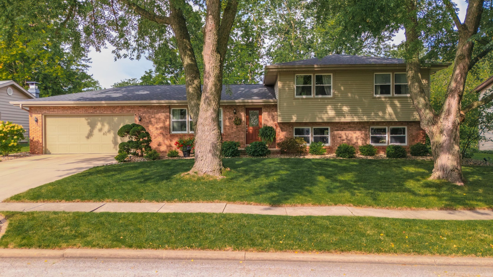 a view of a yard in front of a house with plants and large tree