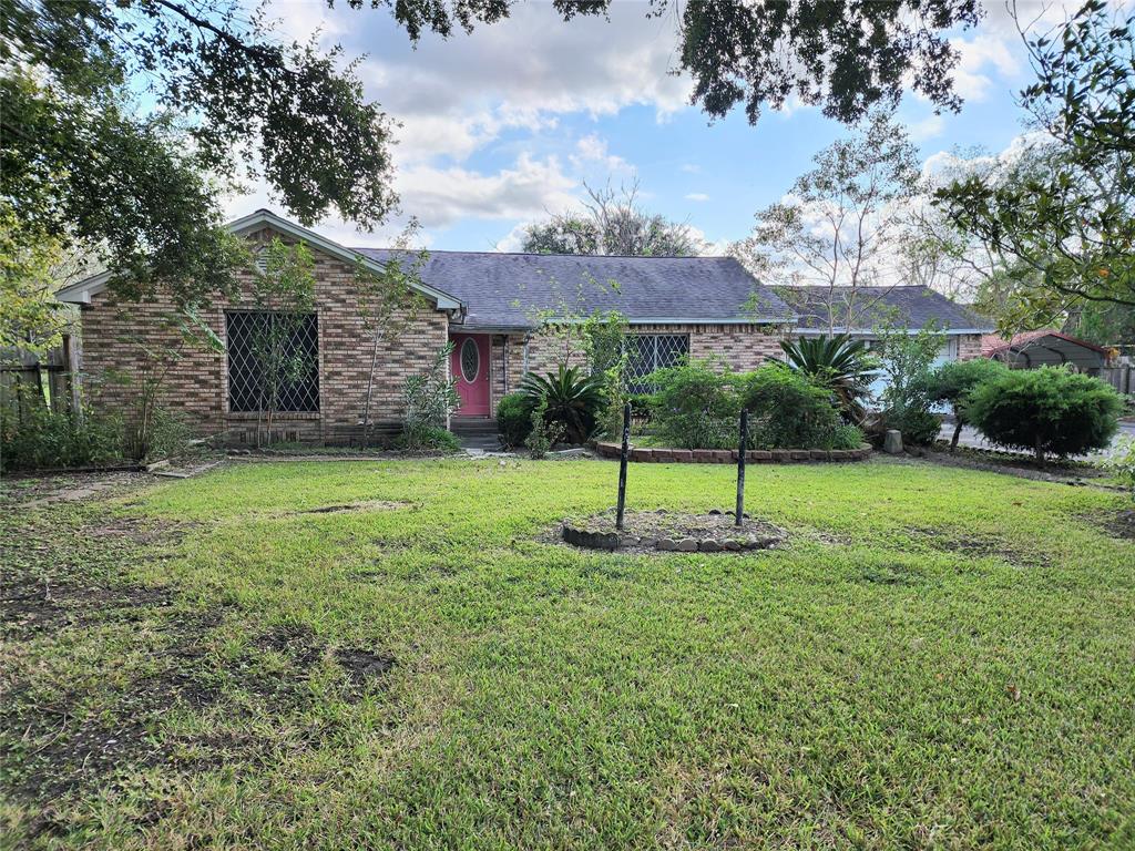 a backyard of a house with plants and large tree