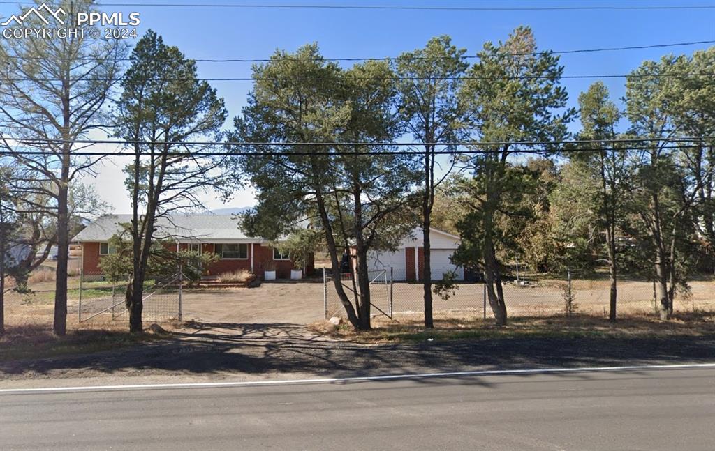 a view of a yard with a tree