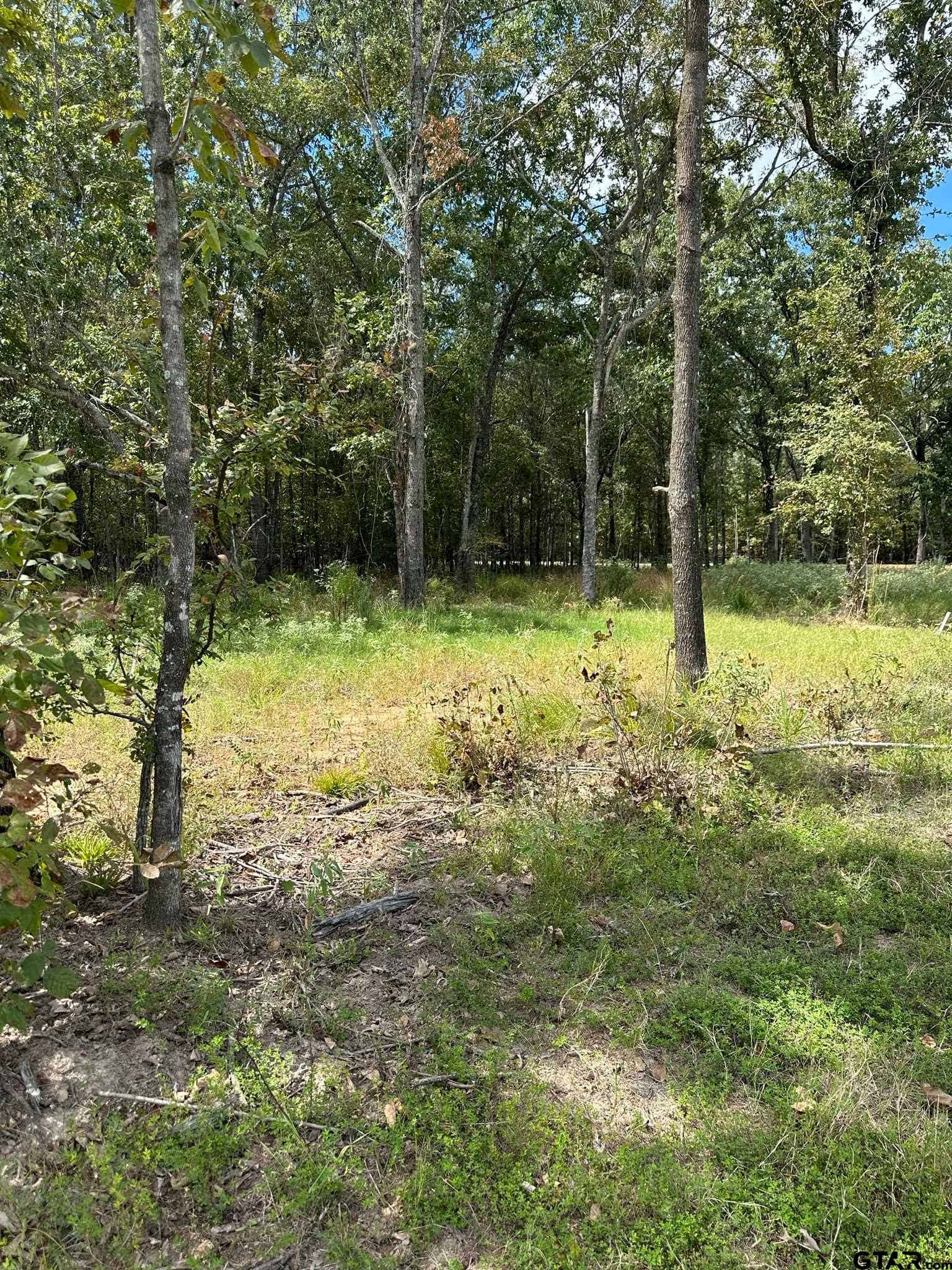 a view of outdoor space with trees all around