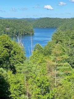 a view of a lake with a yard