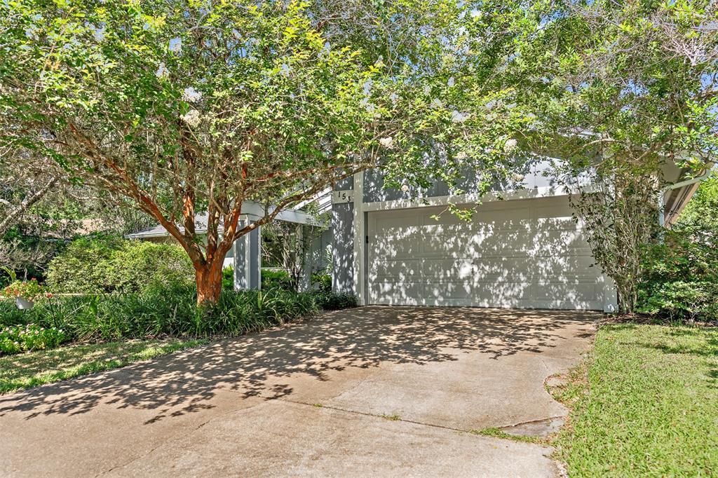 Beautiful front shaded yard