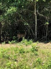 a view of a backyard of the house