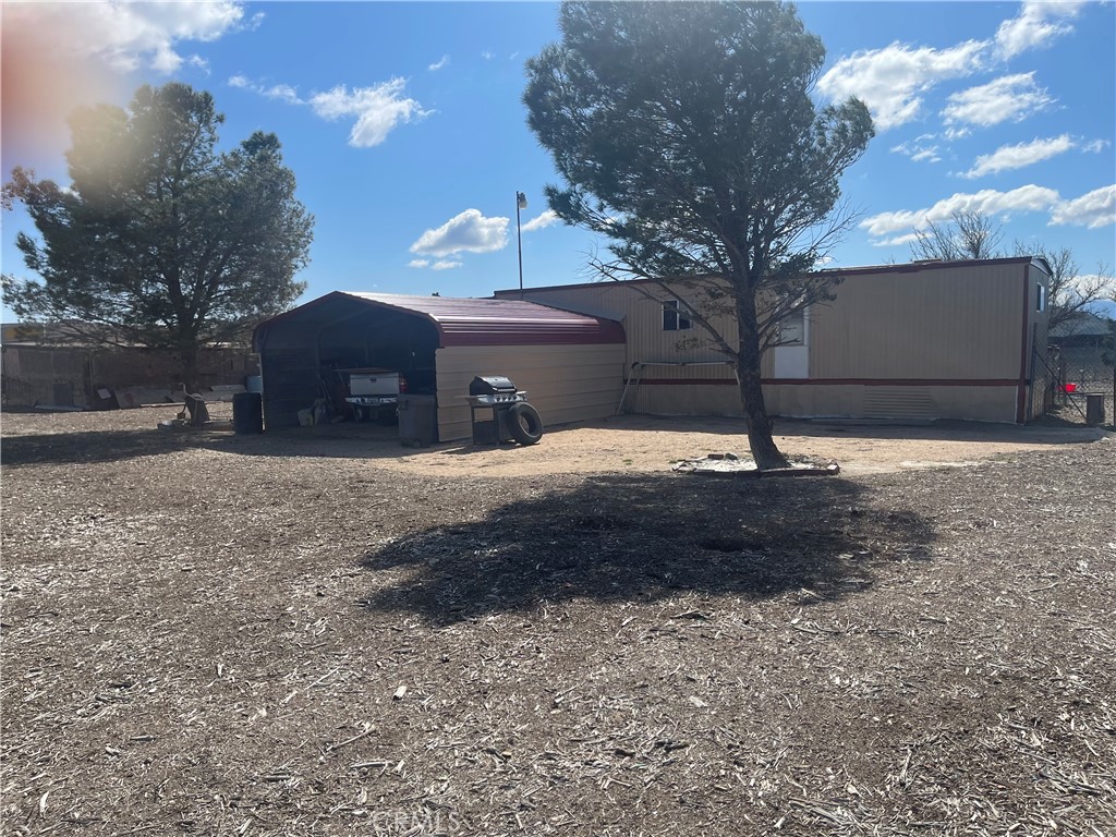 a large tree in the middle of a yard