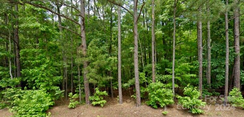 a view of a garden with trees