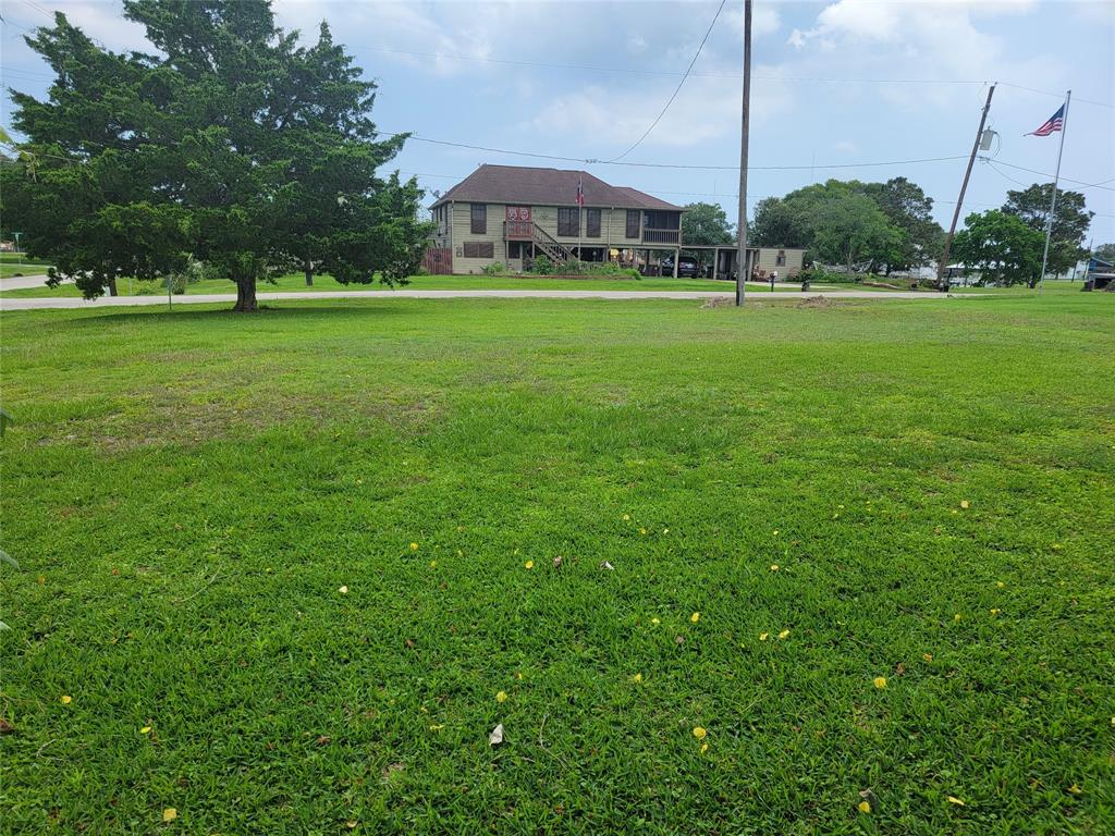 a view of a big yard with a palm trees