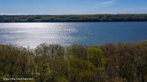 a view of a lake from a yard