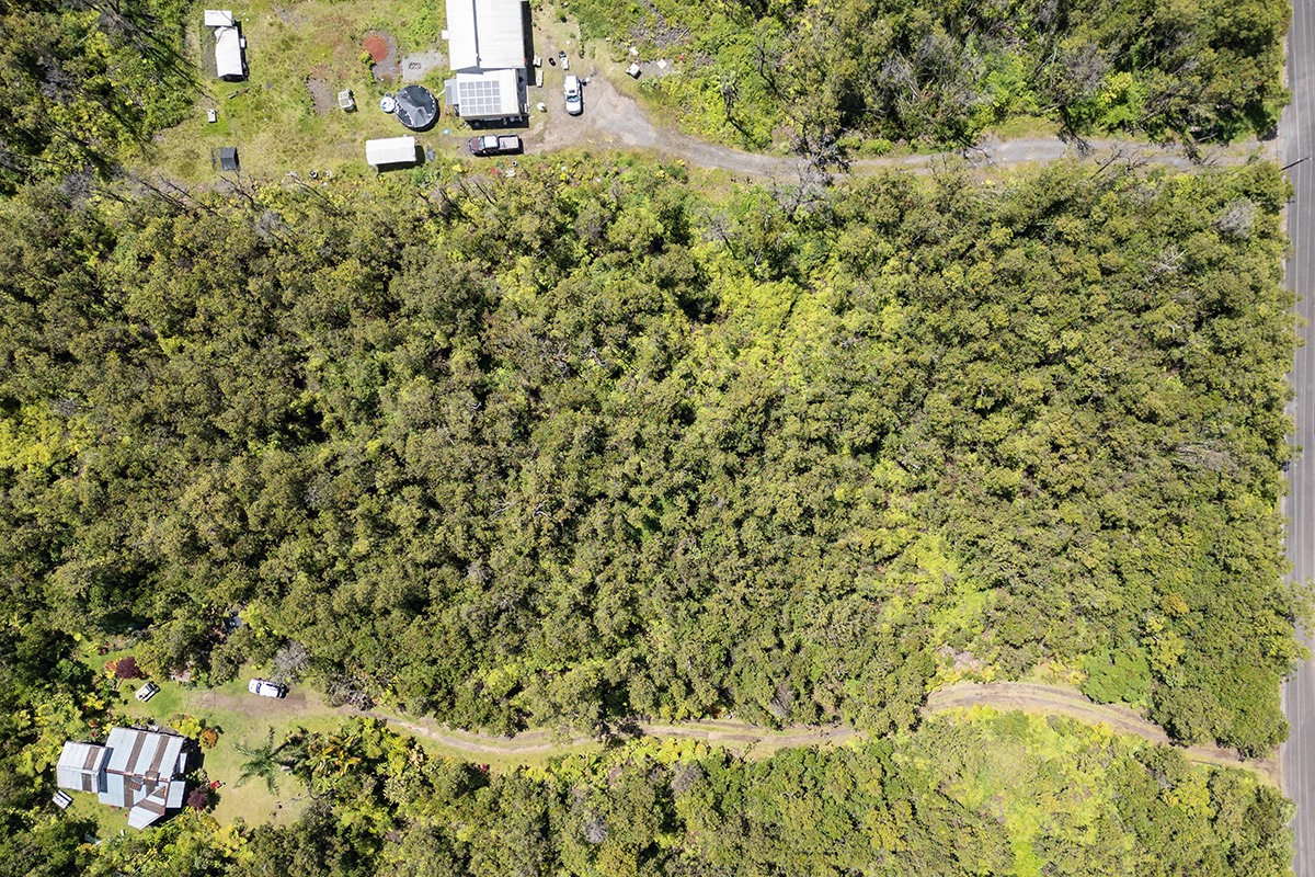 a view of a yard with a tree