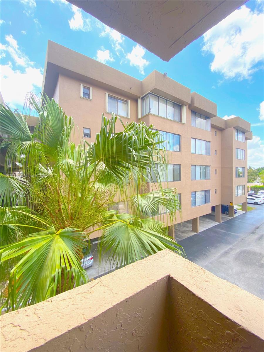 a view of backyard of a building and palm tree