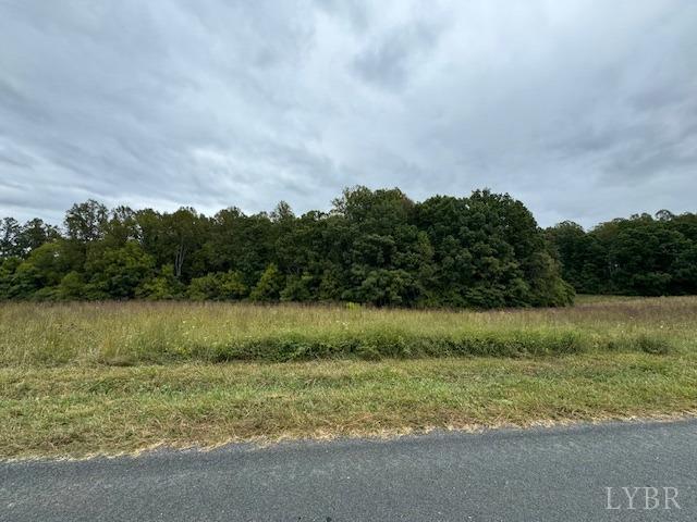 a view of a field with a tree in the background