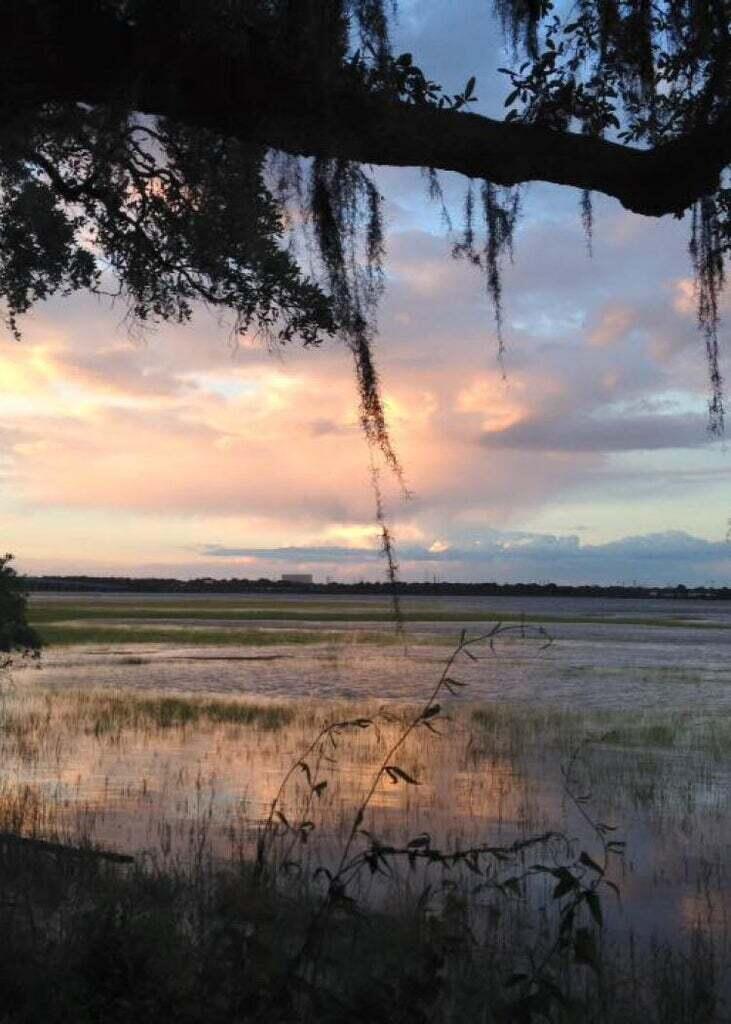 marsh view