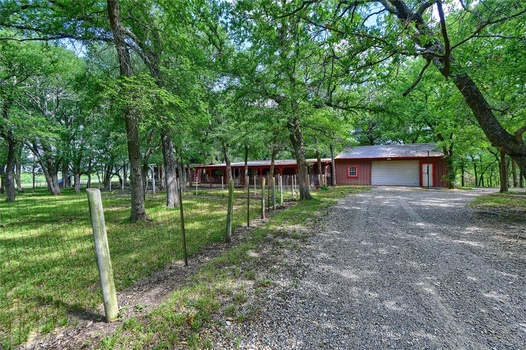 a view of a house with backyard and a tree