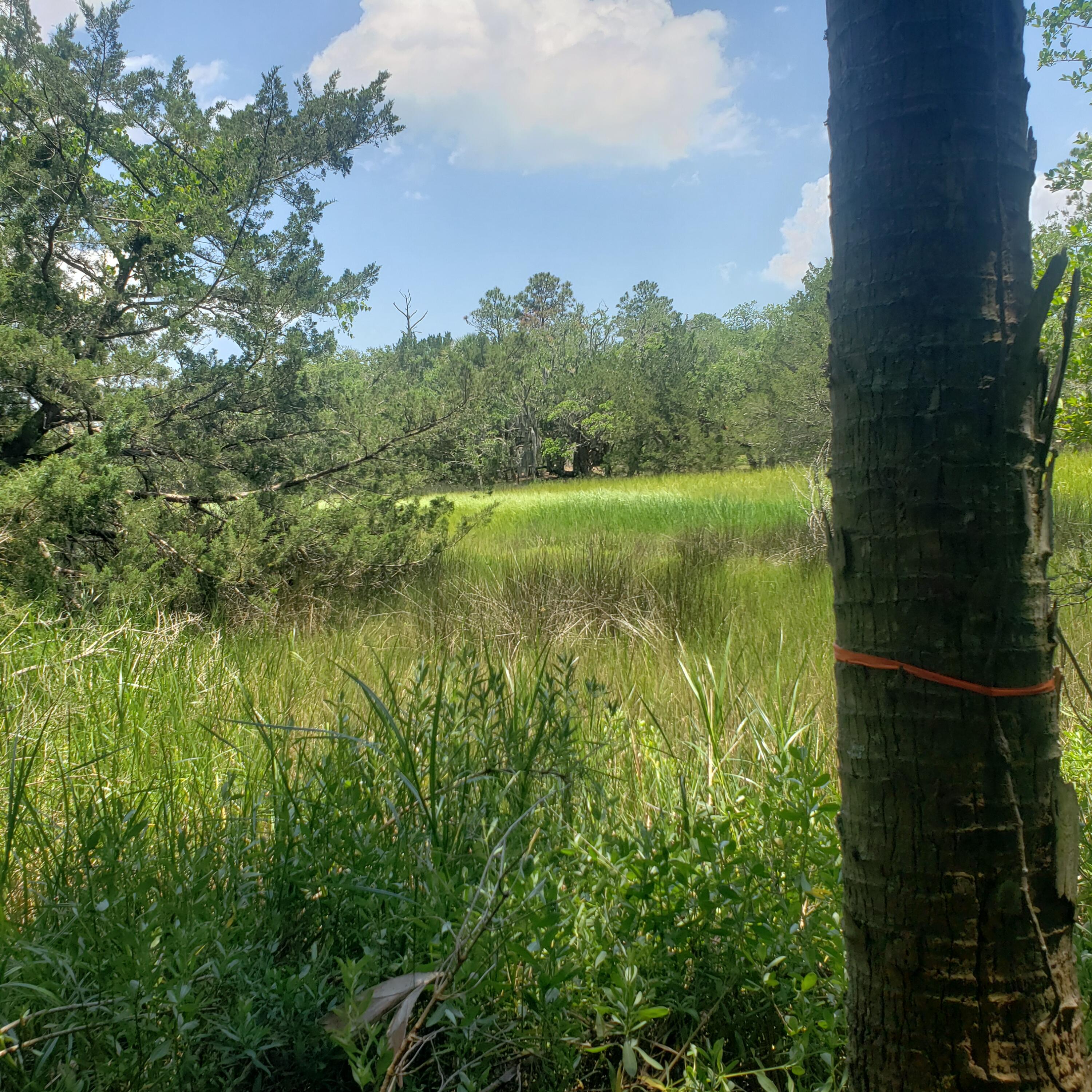 Marsh frontage Lot A east