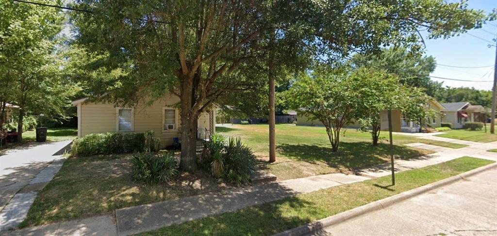 a view of a tree in a yard