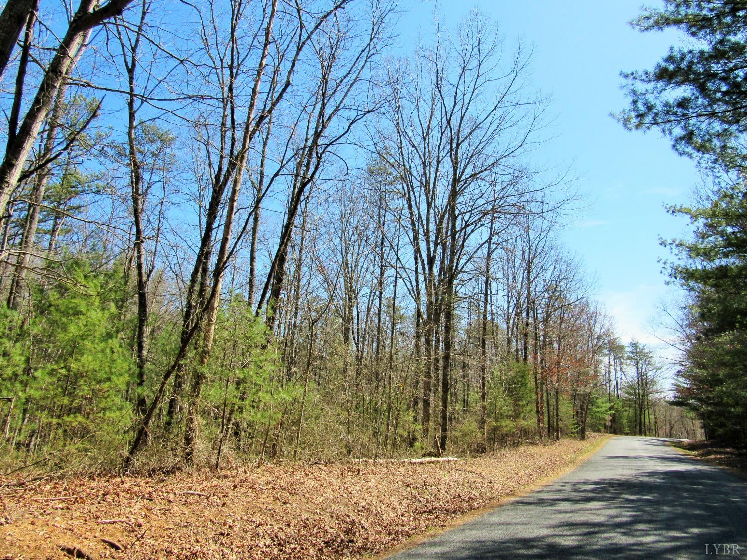 a view of road with large trees