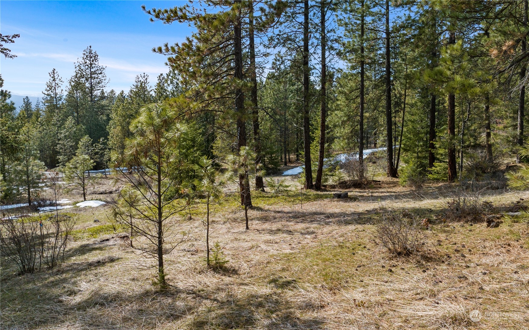 a view of outdoor space with trees