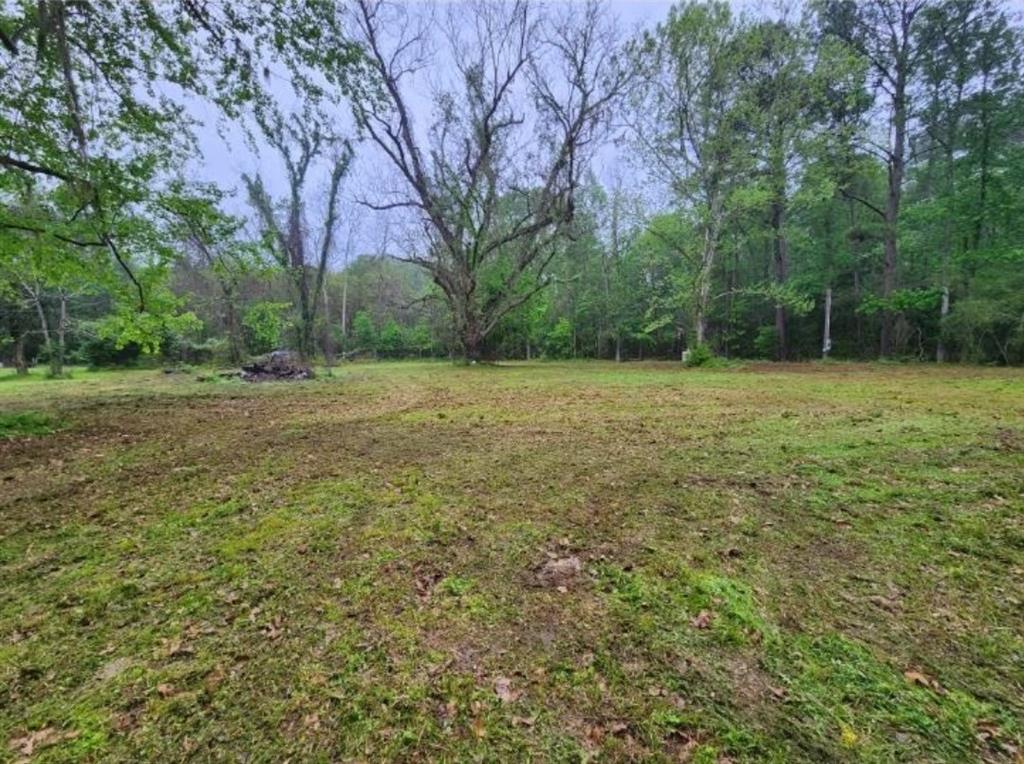 a view of a field with trees in the background