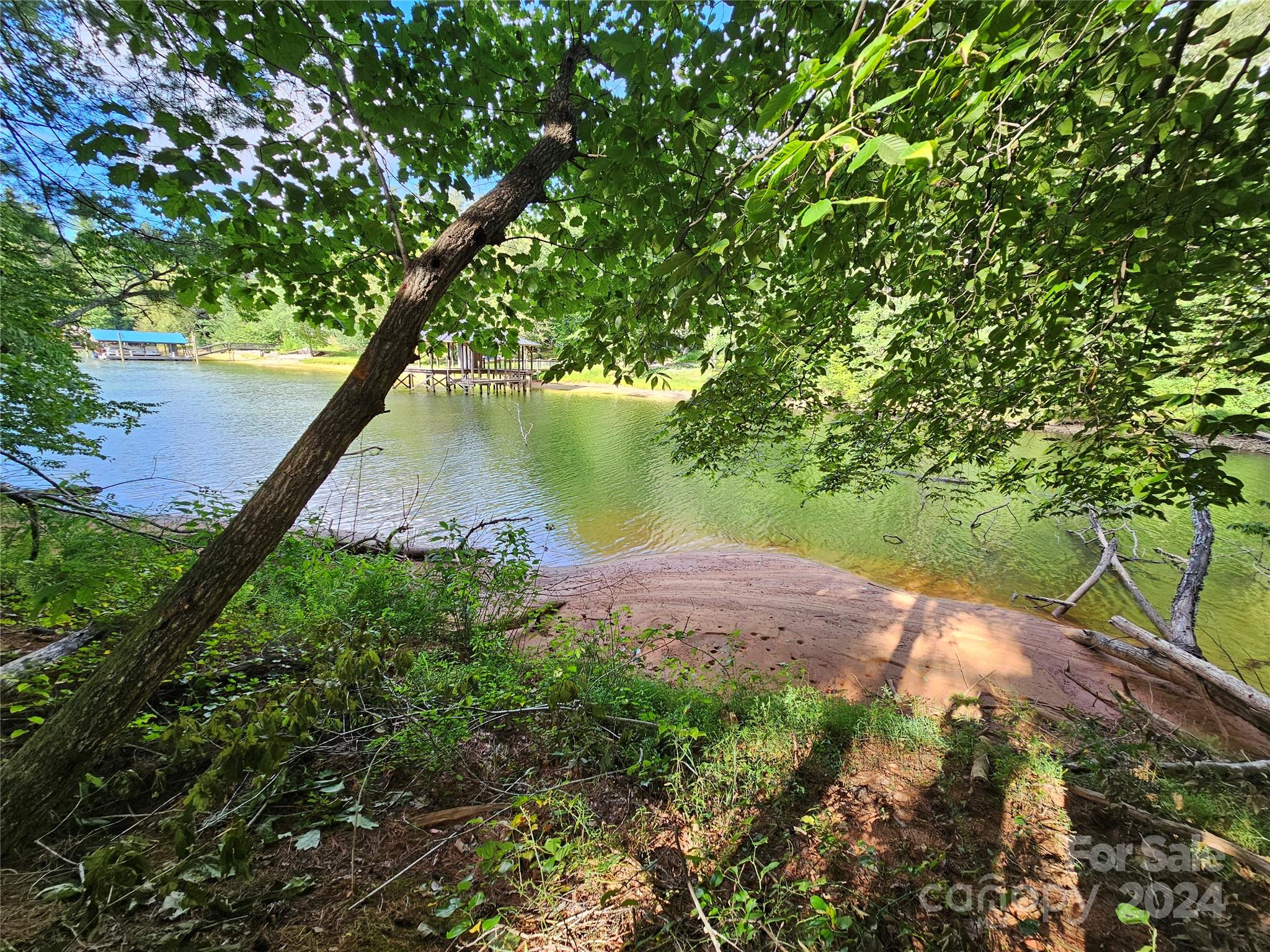 a view of a lake with a tree