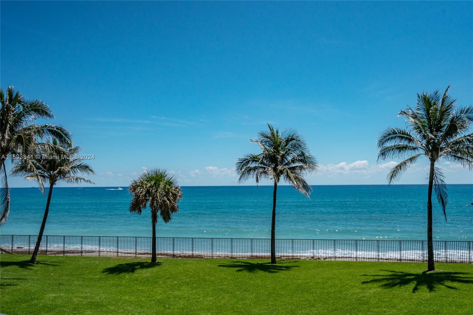 a view of three palm trees