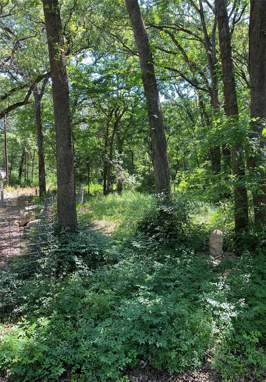 a view of outdoor space and trees all around