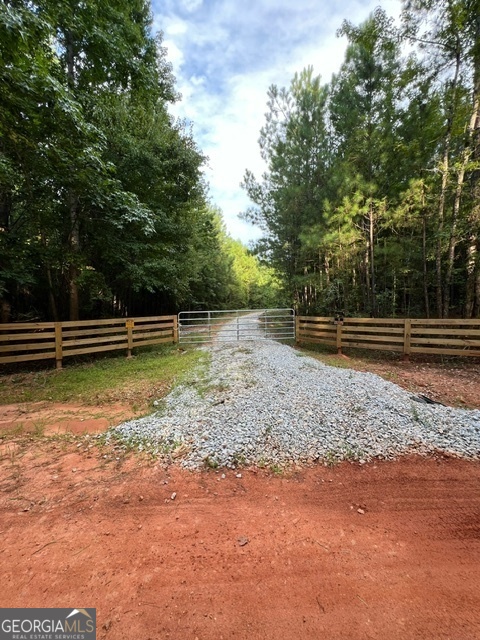 a view of a yard with large trees