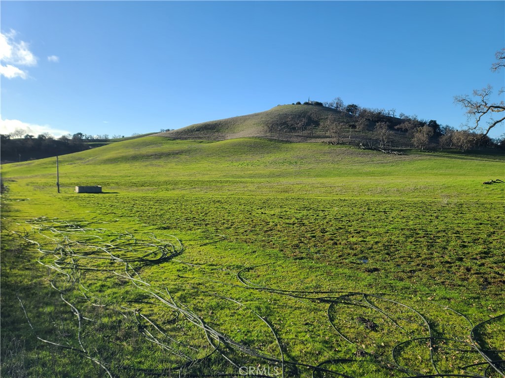 a view of a field with an ocean