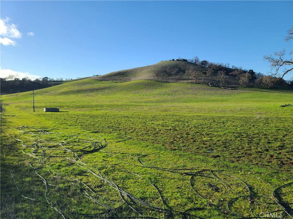 View from the Adelaide School