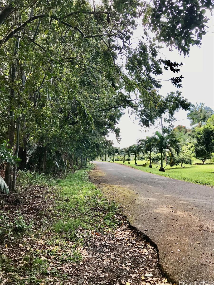 Large 7 acre lot planted in rambutan - surrounded by beautiful manicured farms and homes