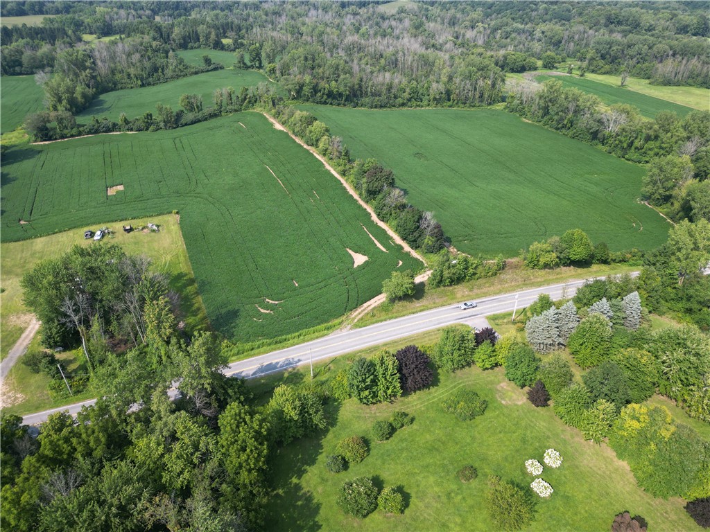 Main view of parcel.  includes fields on left and