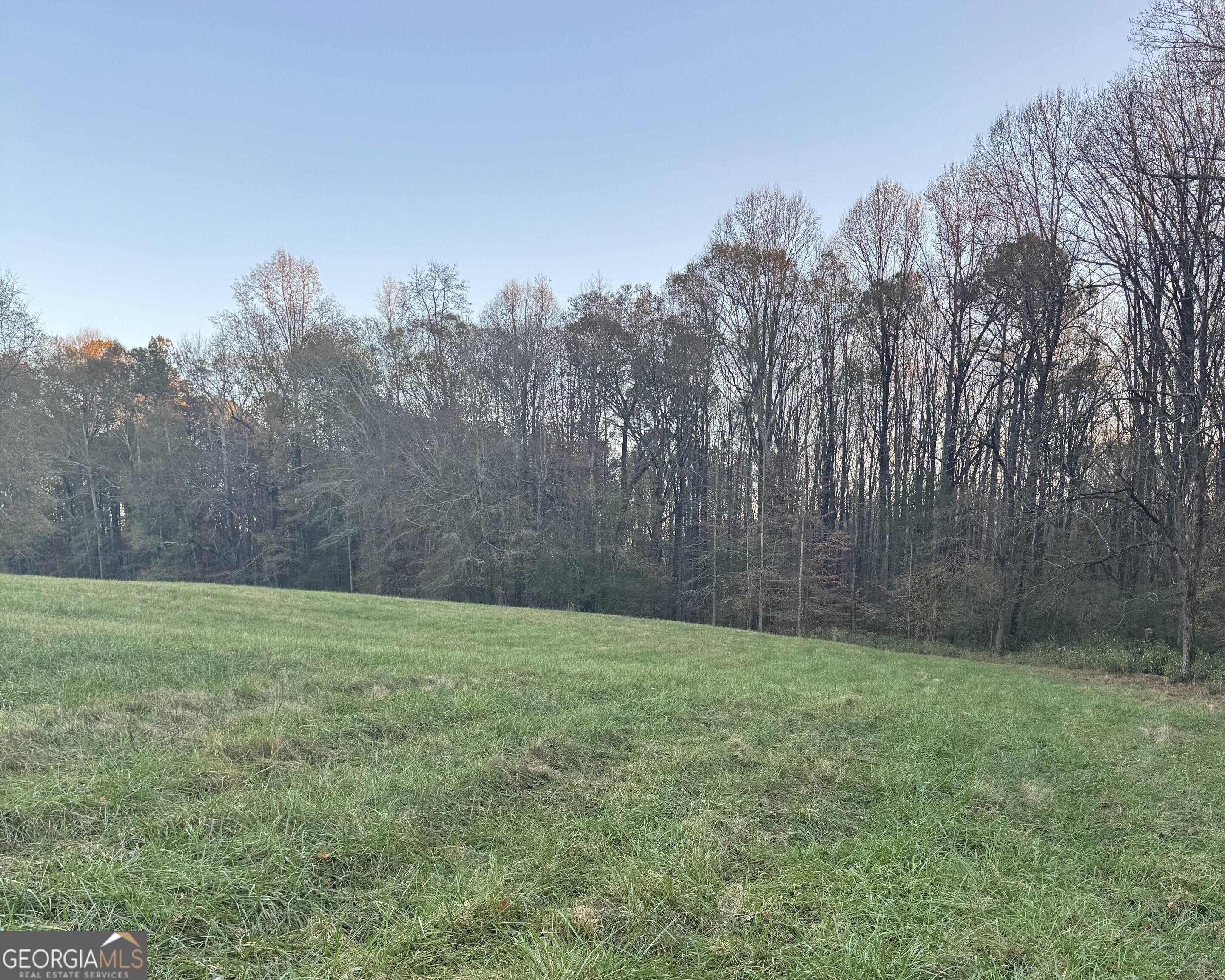 a view of a grassy field with trees in the background