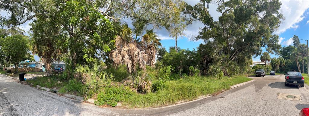 a view of a back yard