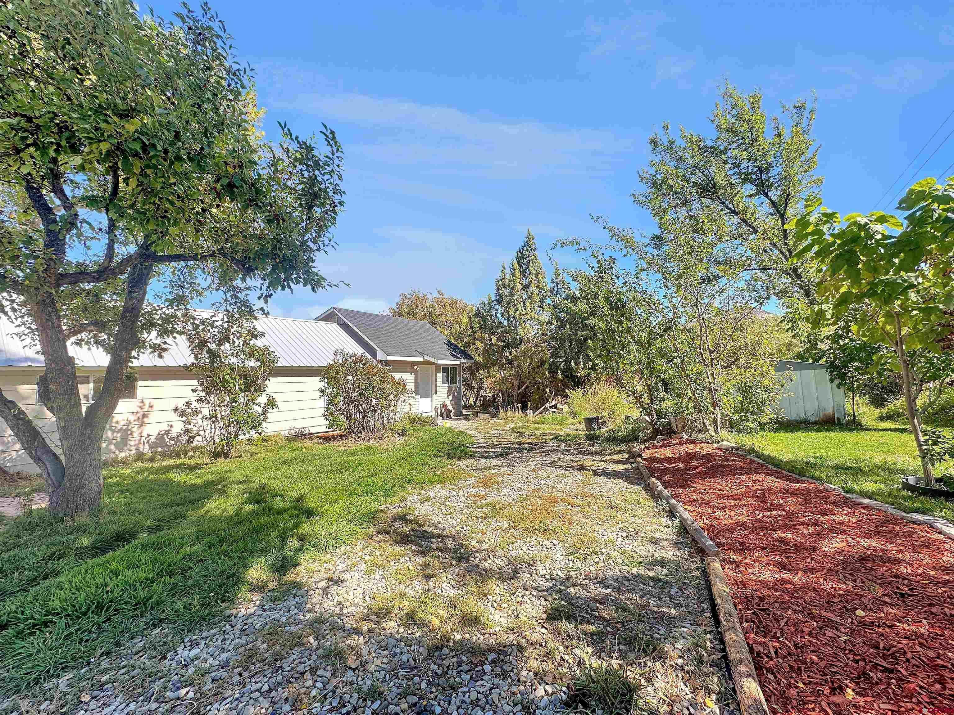 a view of a yard with plants and trees