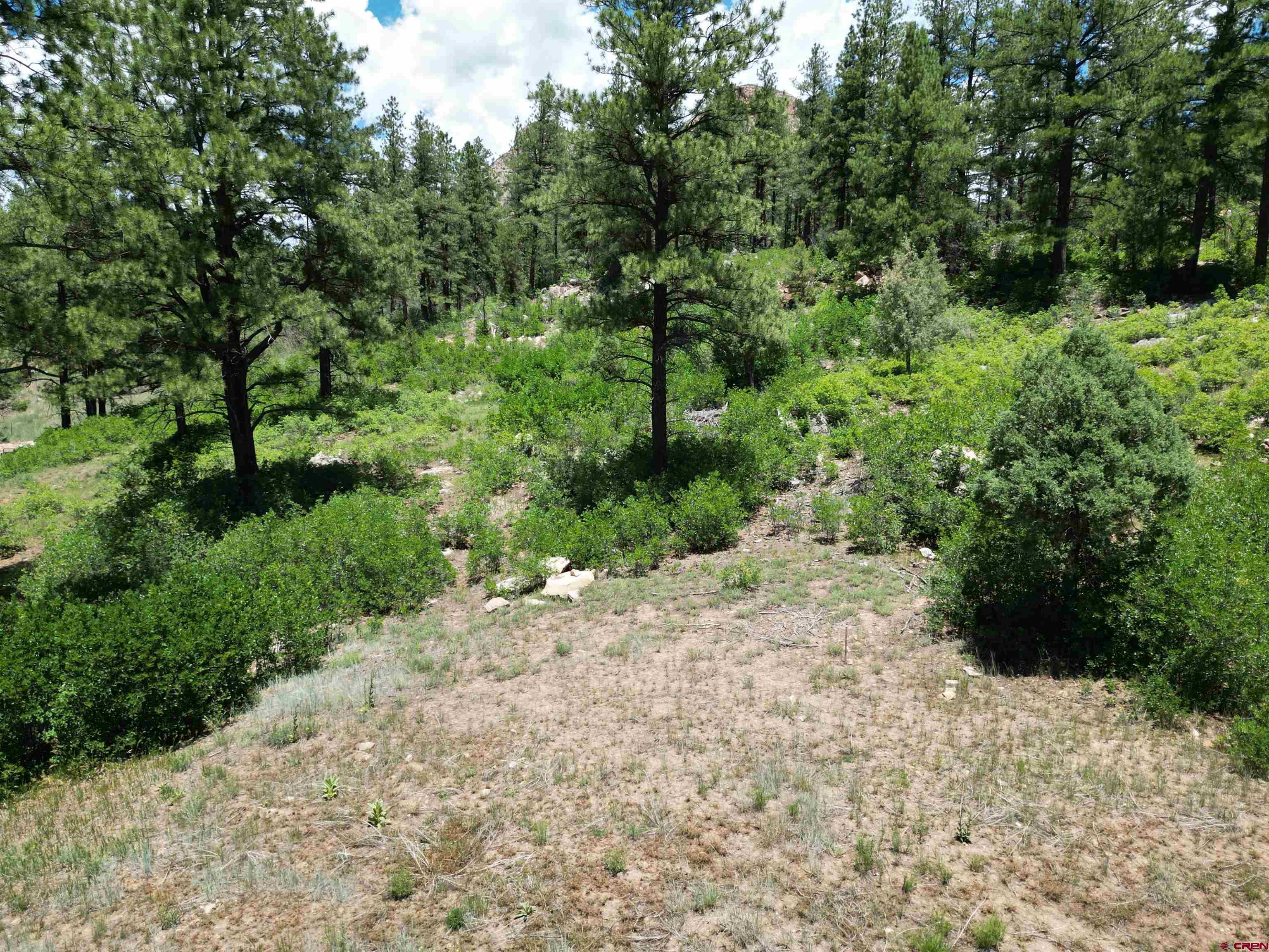 a view of a large yard with lots of green space and deers