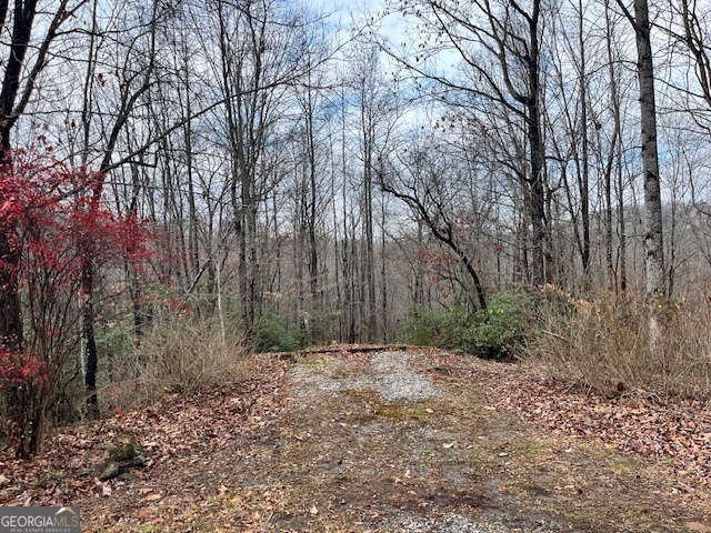 a big yard with large trees