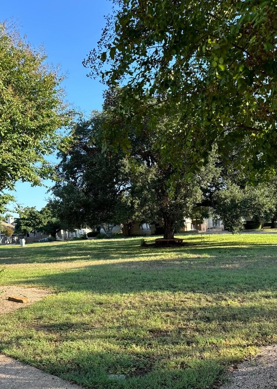 a view of a big yard with a large trees