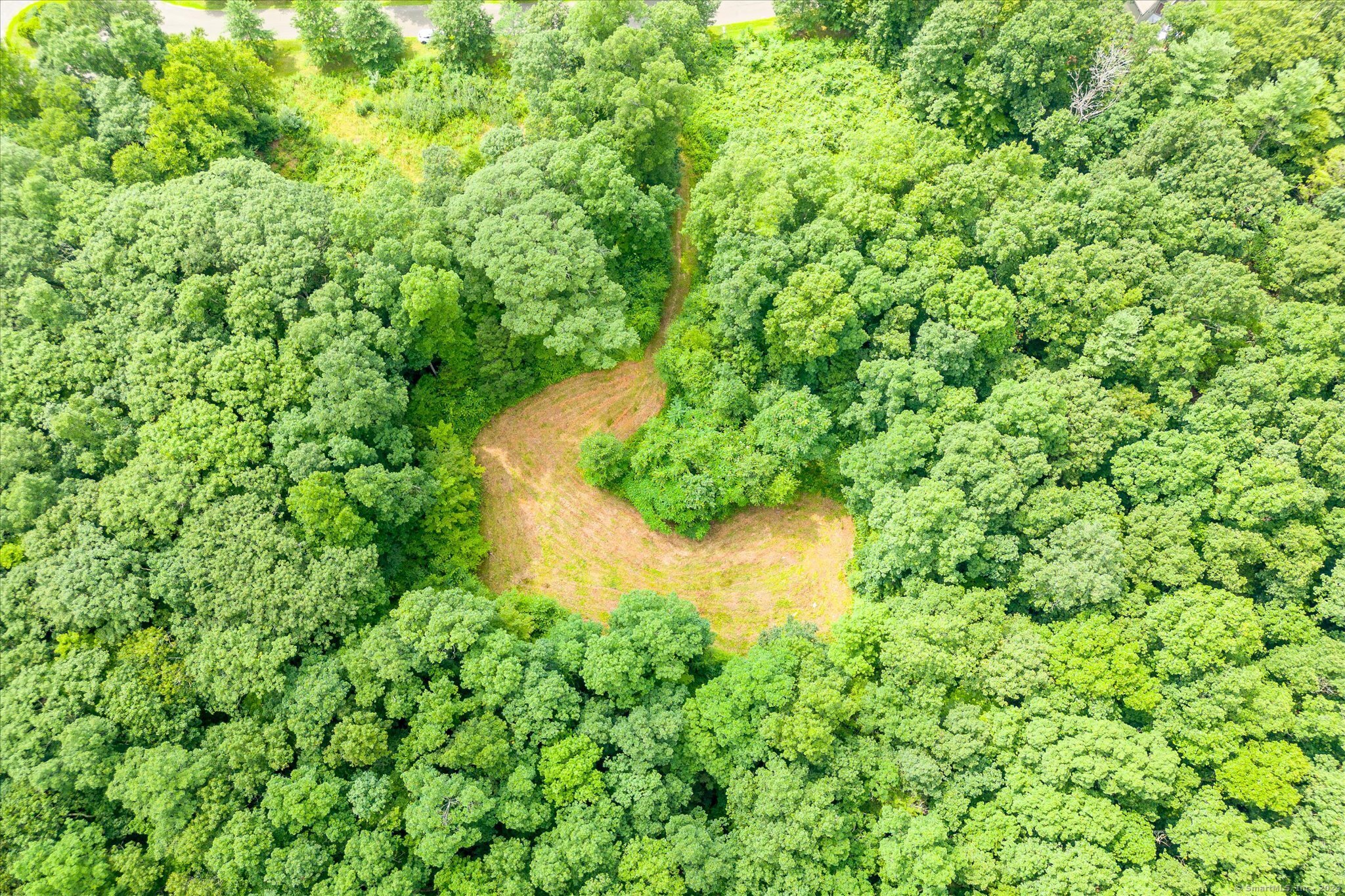 a view of a yard with a tree