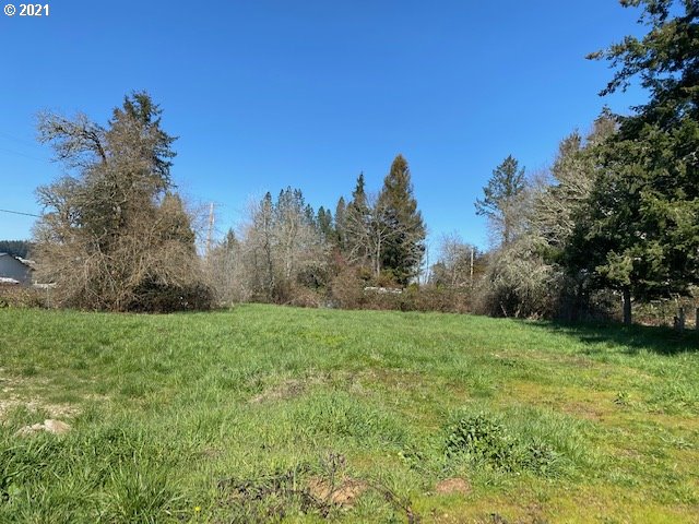 a view of a grassy field with trees in the background