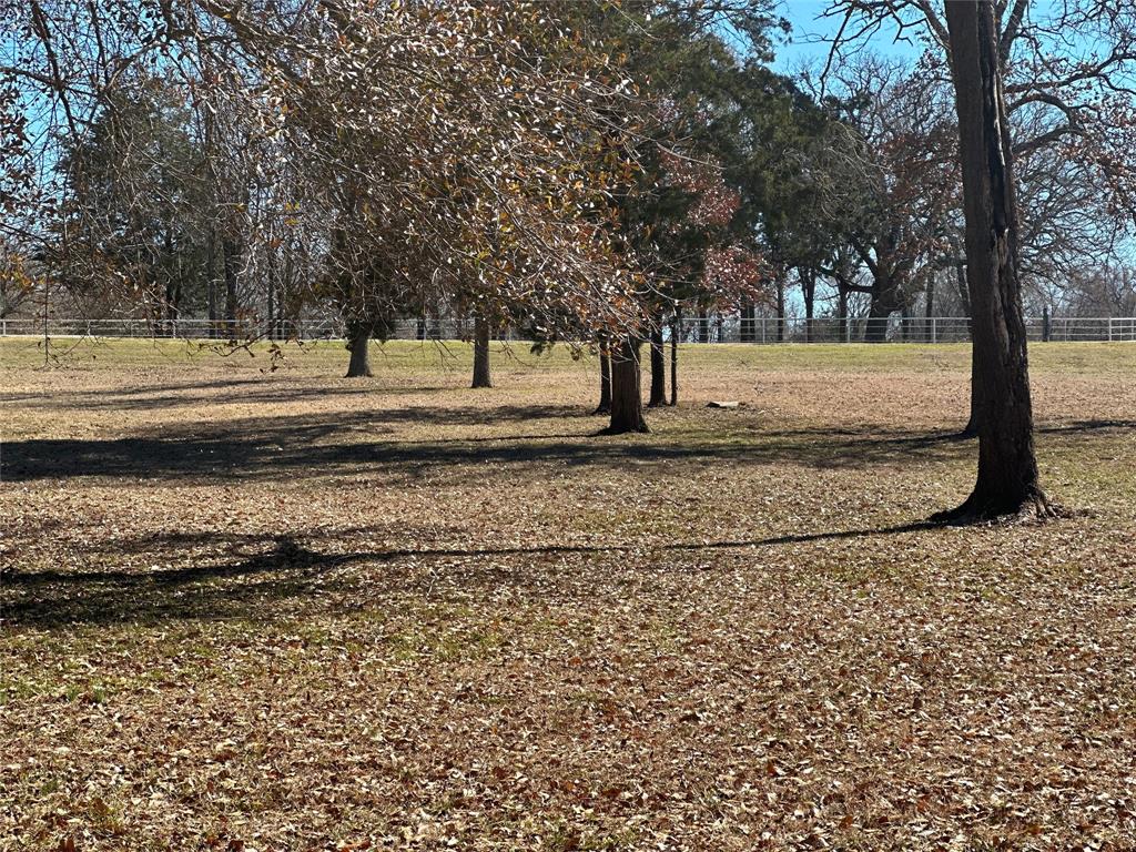 a view of a yard with large trees