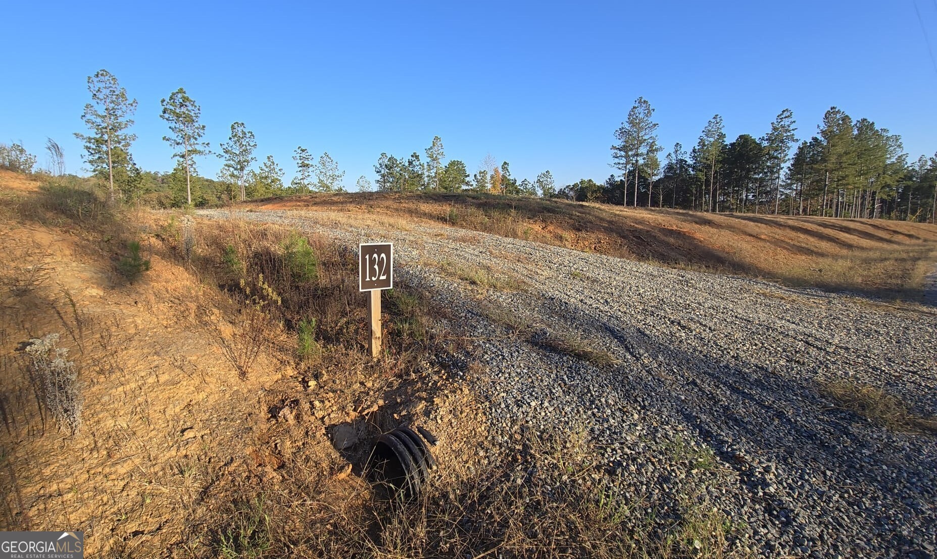 a view of a yard with mountain view