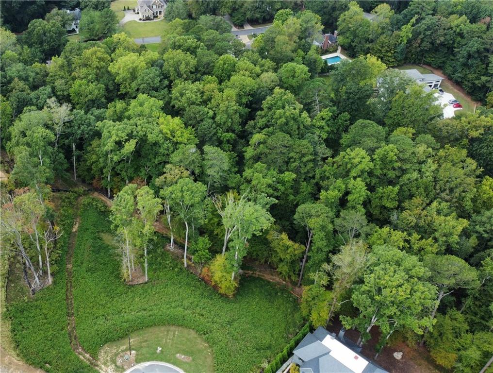 a green field with lots of trees