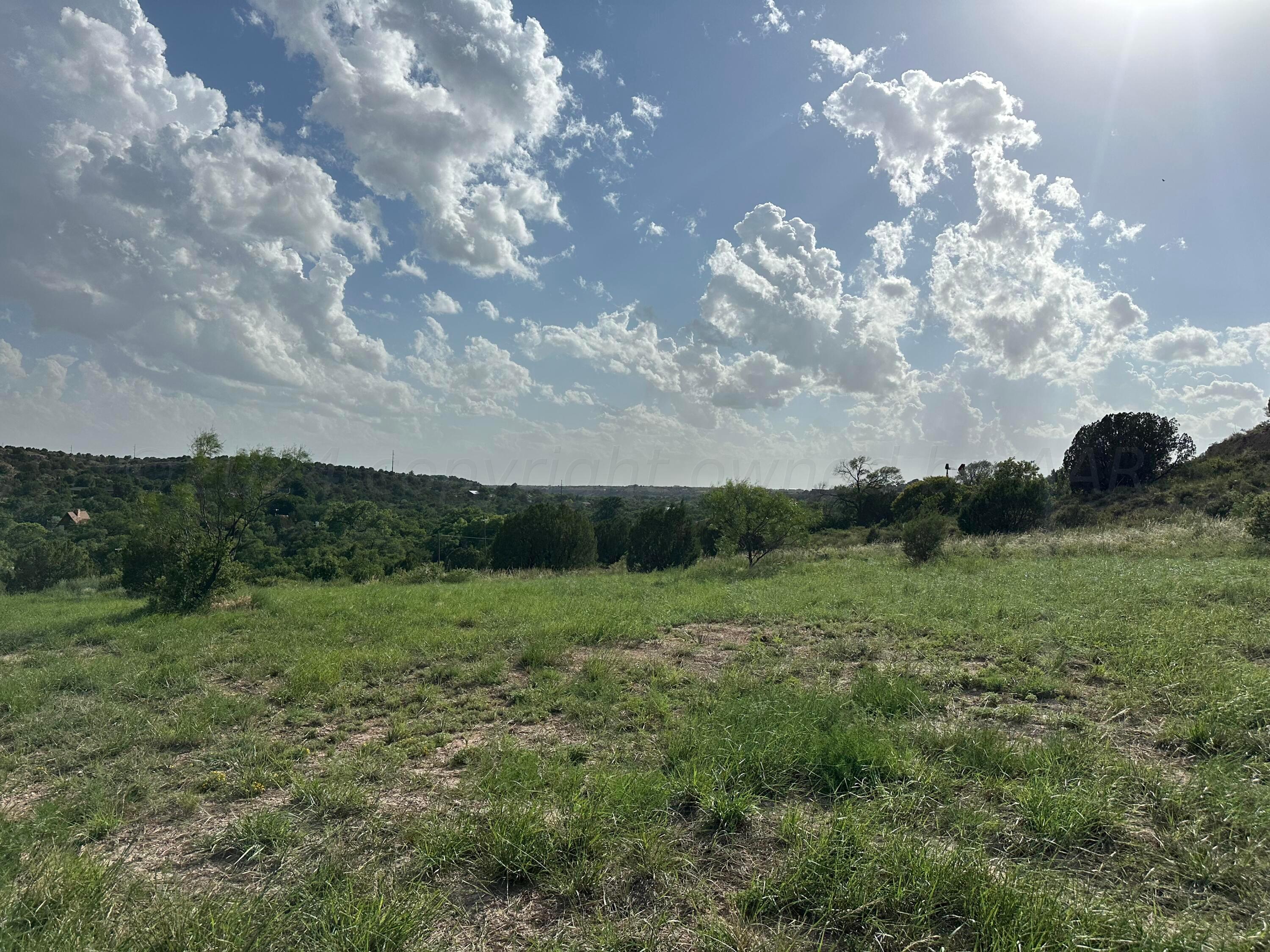 a view of a big yard with lots of green space