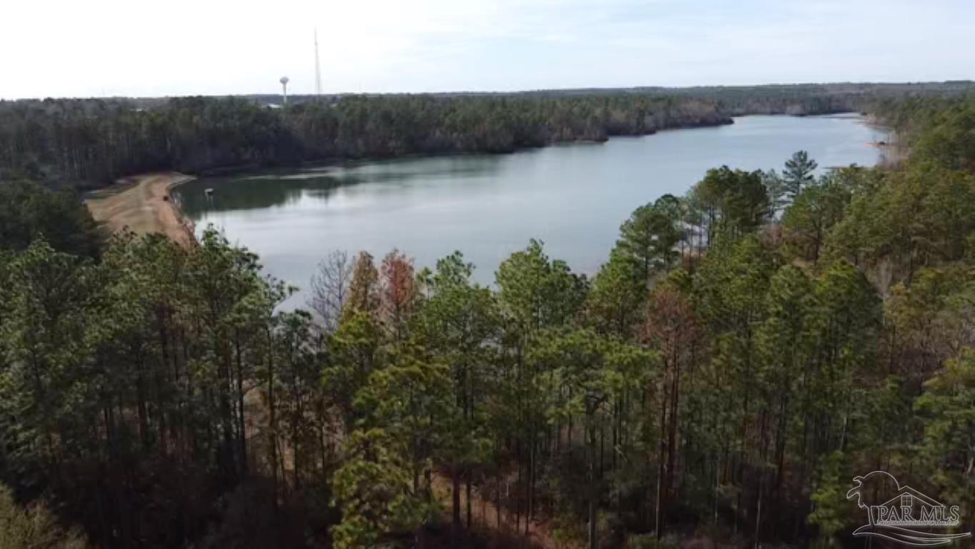 a view of lake with green space