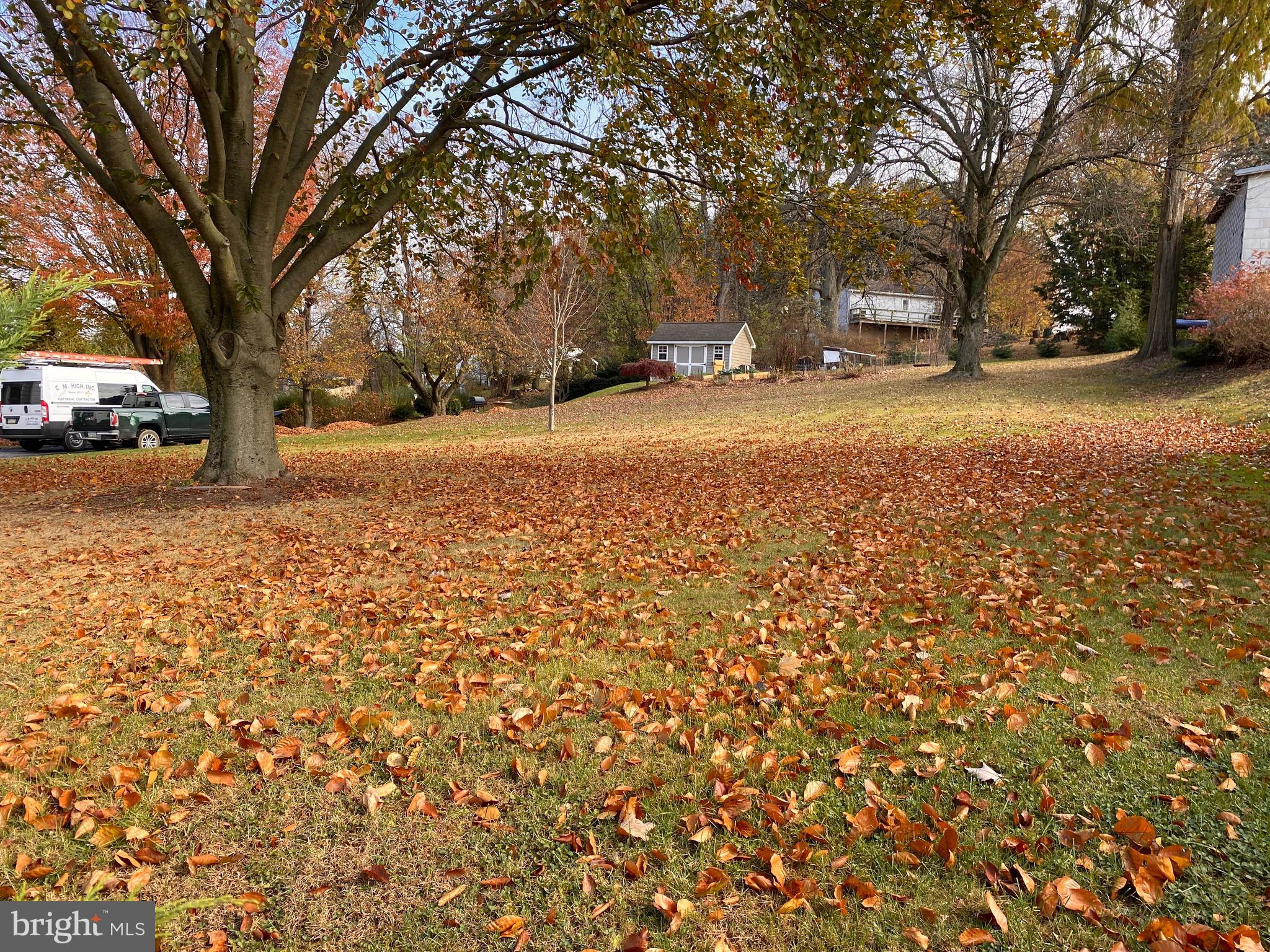 a view of a yard with trees