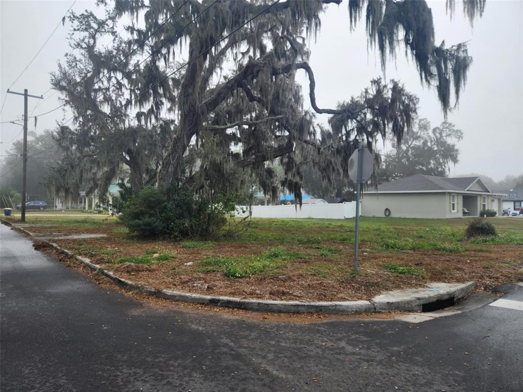 a view of a backyard