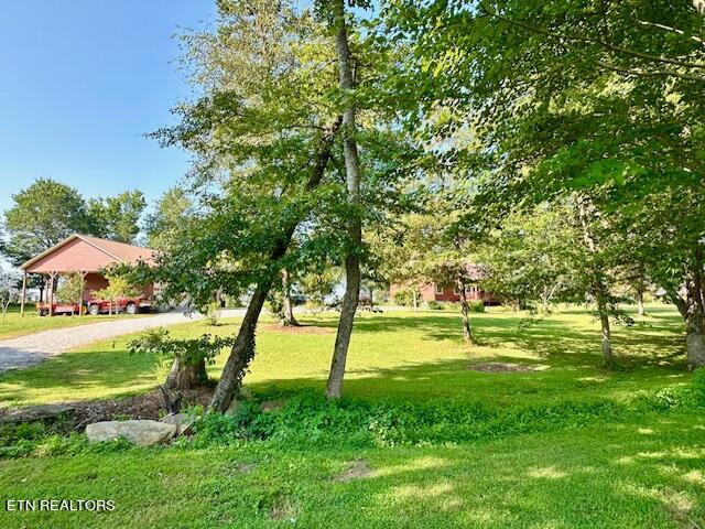 Tree Line View of Front of Property