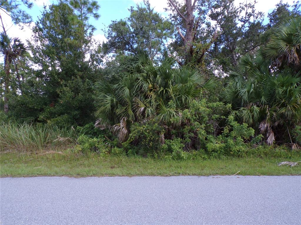 a view of a yard with a tree