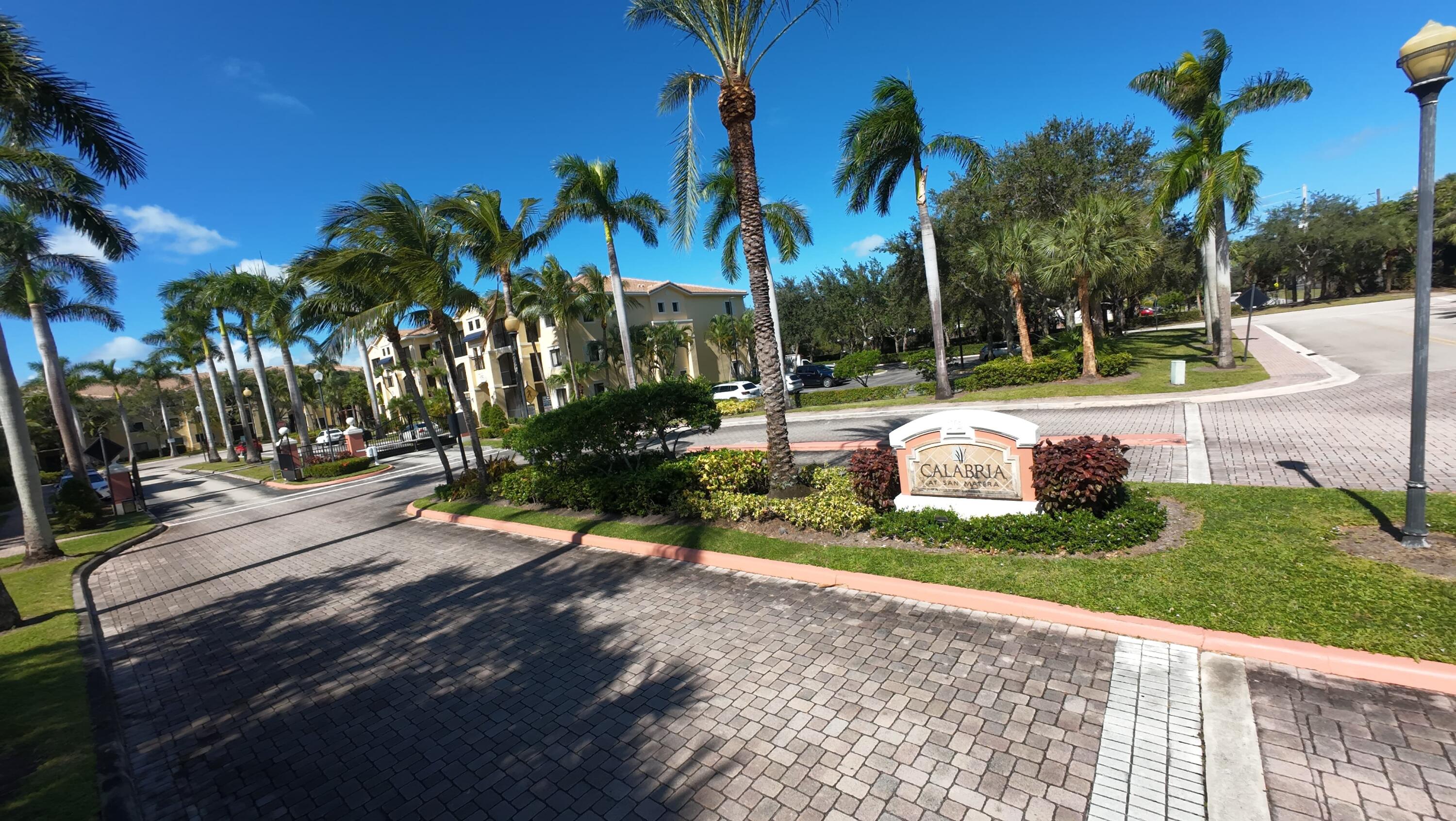 a view of a park with palm trees