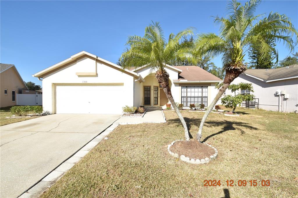 a house with palm tree in front of it