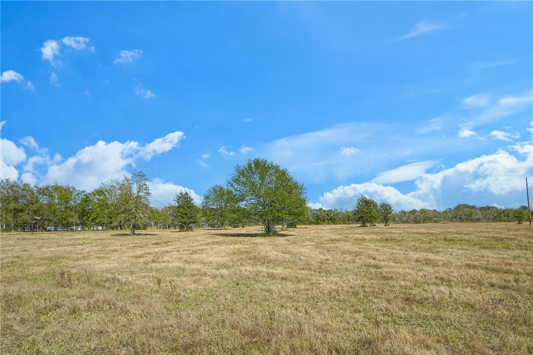 View of local wilderness with a rural view